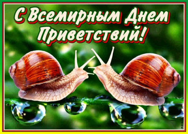 С днём приветствий поздравления