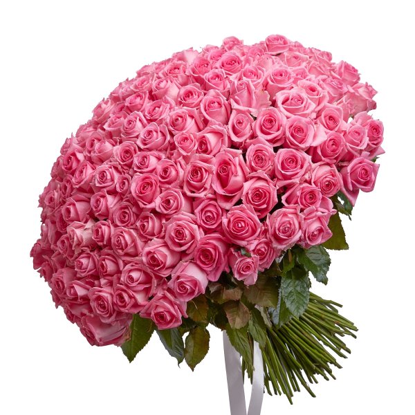 Свит Ревиваль роза