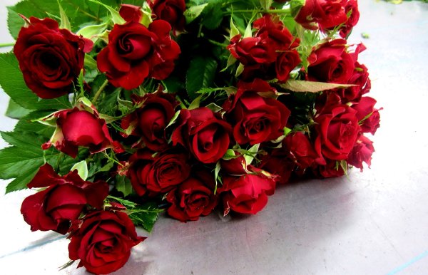 Розы для Аллы