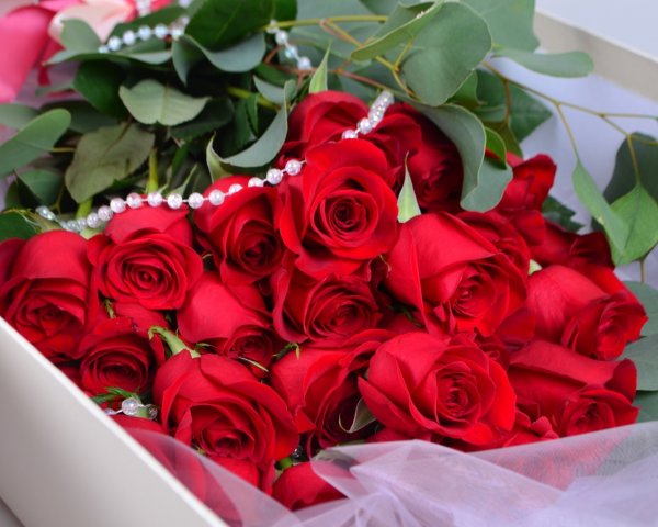 Шикарные цветы