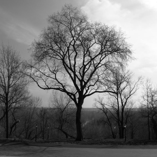 Темный день