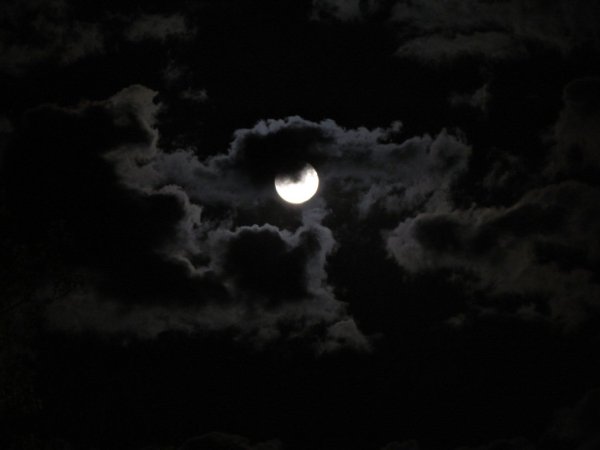 Темный день