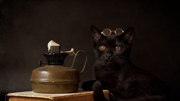 Натюрморт с чёрной кошкой