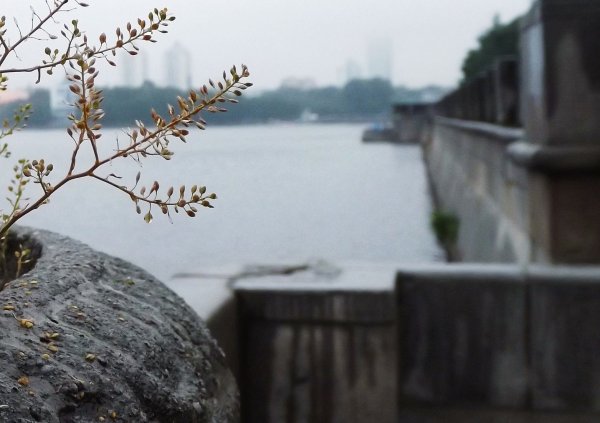 Черный день фото