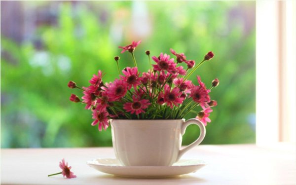 Светлого доброго утра Мудрые