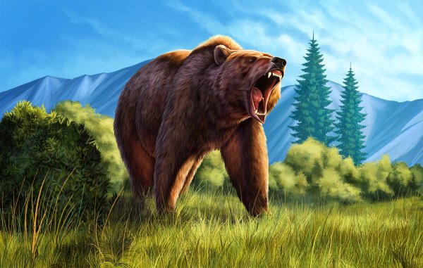 Медведь Гризли