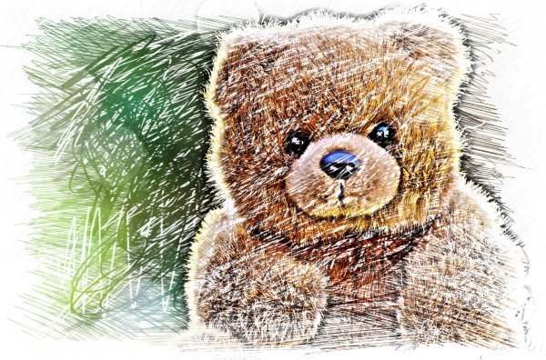 Сибирский бурый медведь и Гризли