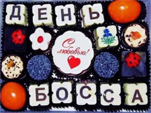 Стднем рождения начальнику