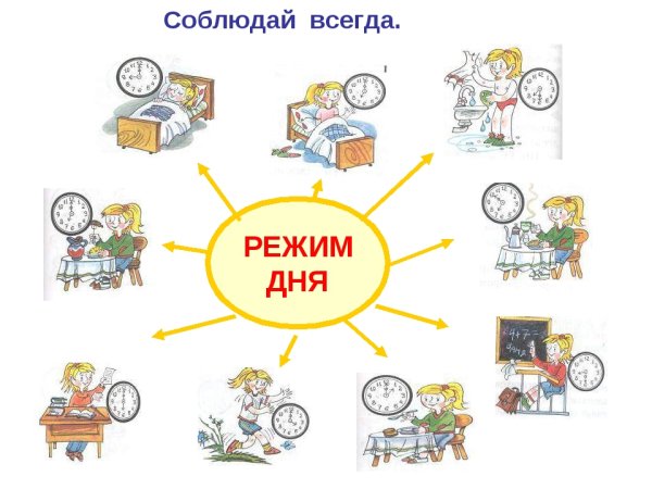 Режим дня рисунок