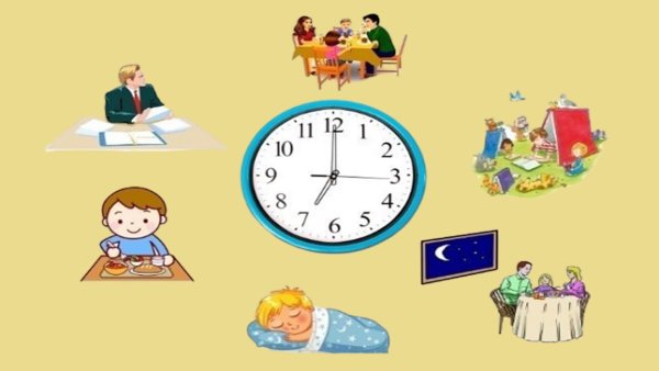 Распорядок дня