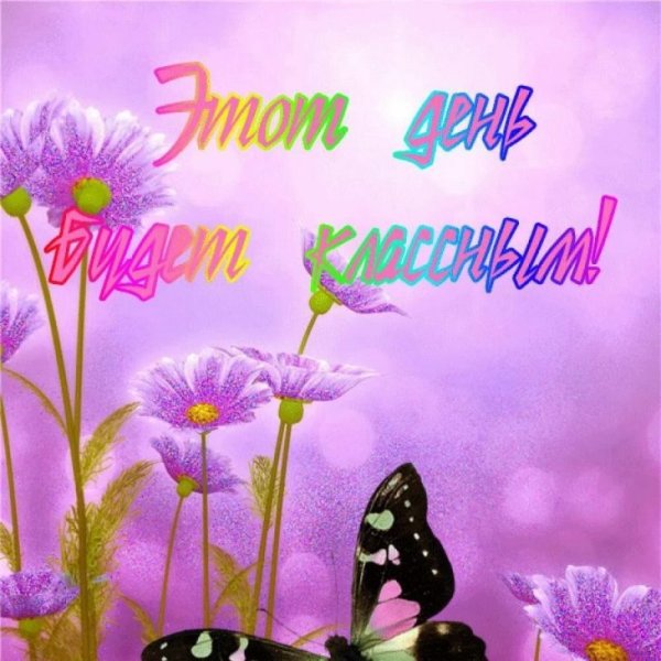 Чудесного дня картинки