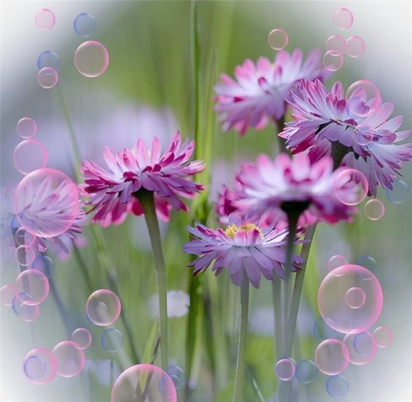 Прекрасного настроения в пасмурный день