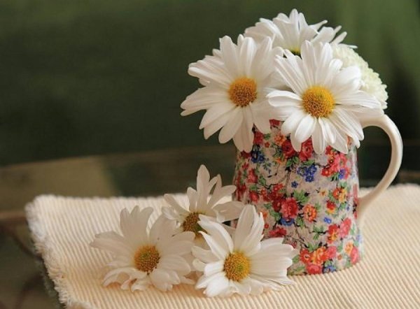 Добрые пожелания с ромашками