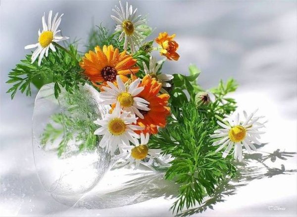 Доброго понедельника