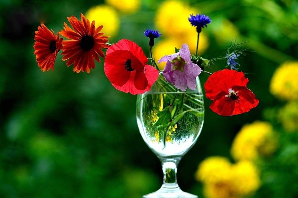 Пожелания чудесного дня