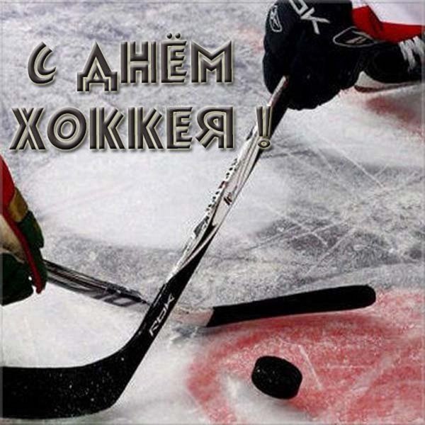 День хоккея
