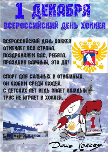 Всероссийский день хоккея