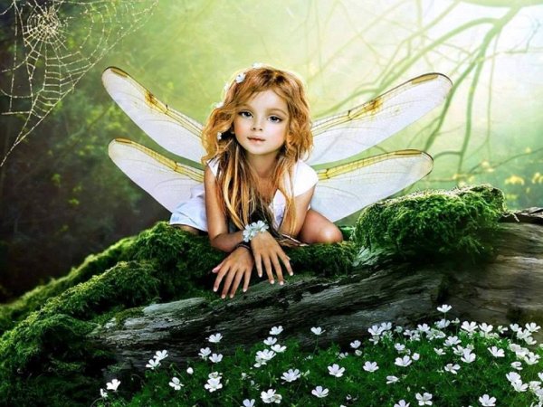 Яна Кучеева художник