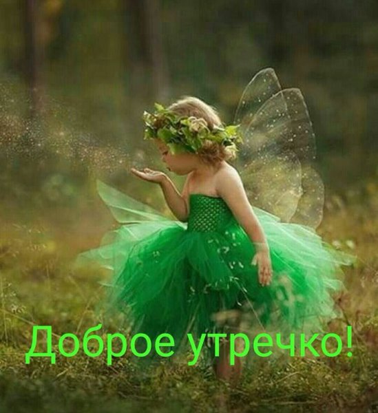 Сказочные феечки