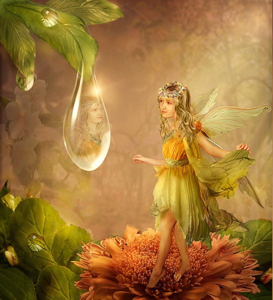 Фея Динь рождение