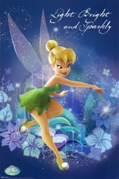 Disney Fairies: Tinker Bell's Adventure