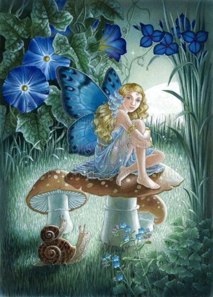 Цветочные феи