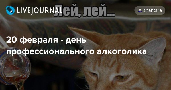 Бомж с цветами