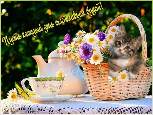 Отличного денечка и прекрасного настроения