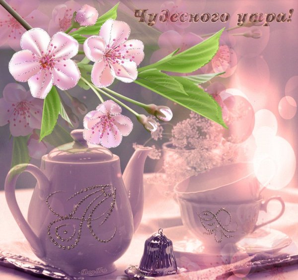 Доброе утро прекрасного дня