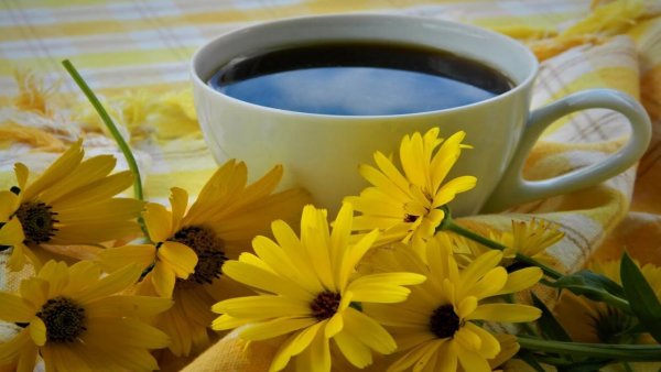 Жёлтые цветы и чашка кофе