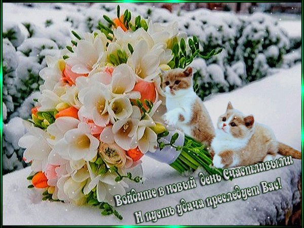 Чудесного зимнего дня