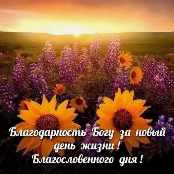 Благословенного дня природа