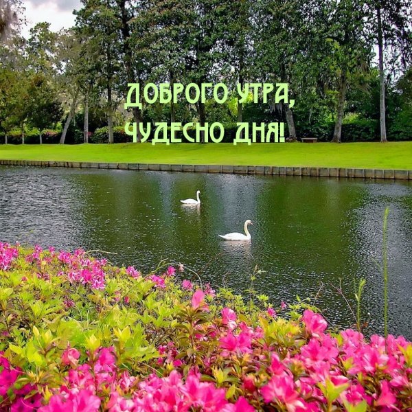 Доброе утро прекрасного дня