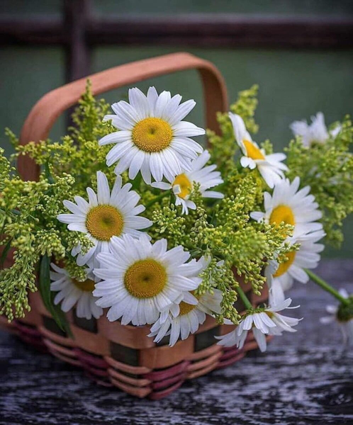 Доброе утро солнечного настроения