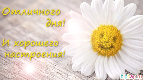 Туберкулез 24 марта Всемирный день борьбы с туберкулезом