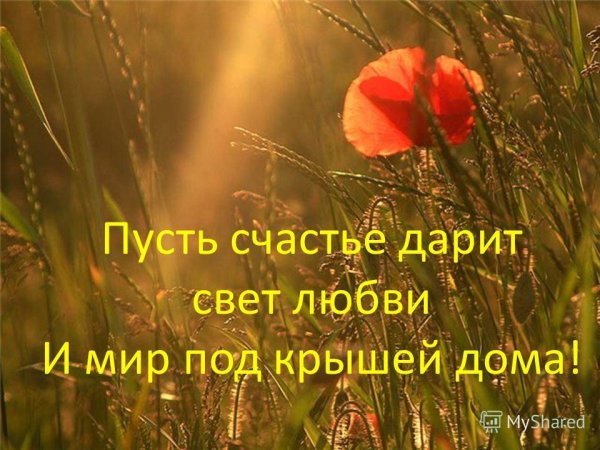 Гармонии в душе пожелание