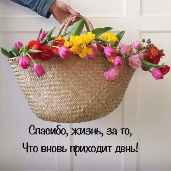 Благодарю за новый день