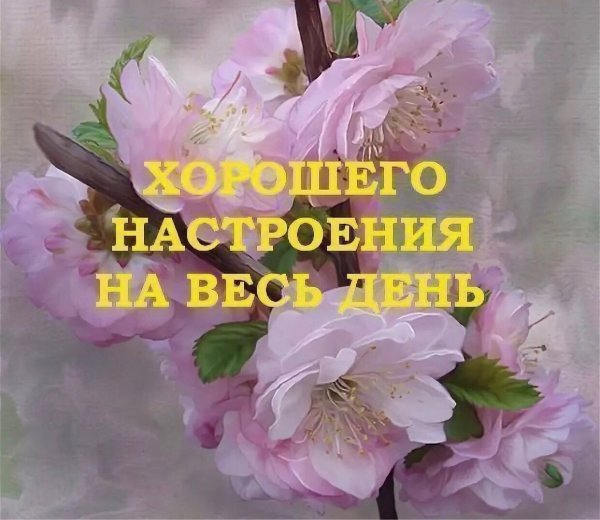 Хорошего настноенич на все сь лень