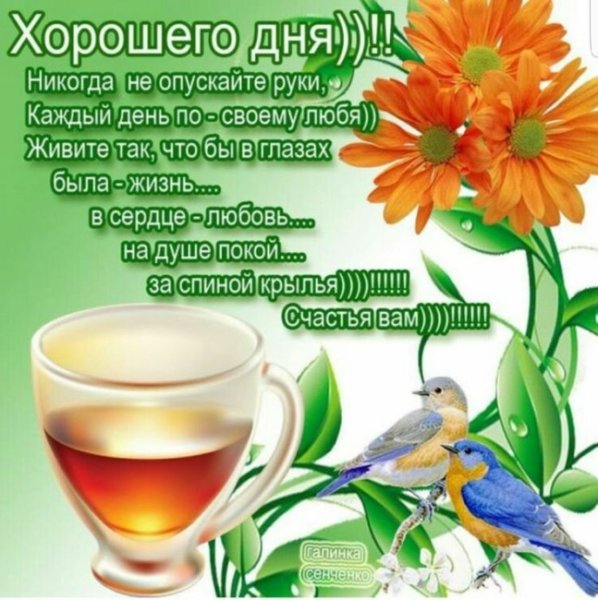 Красивые поздравления на каждый день