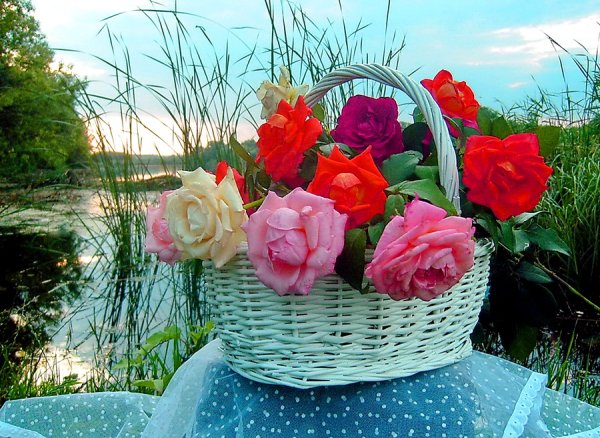 Моей любимой подруге