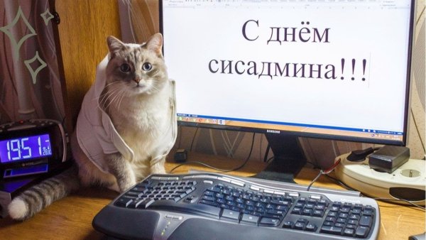 День системного администратора открытки