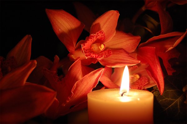 Открытки с поминальным днем