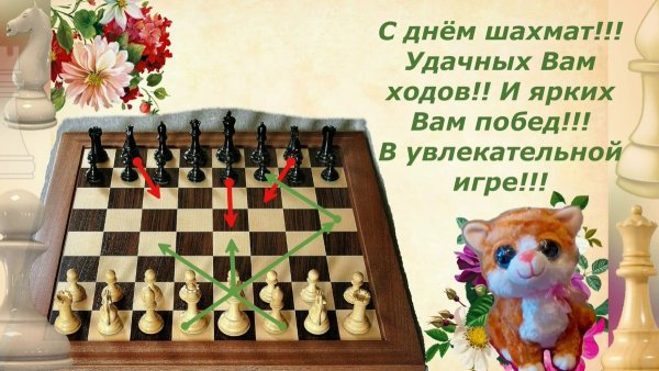 Шахматный турнир