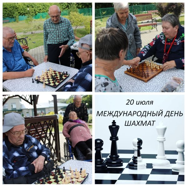 Шахматы спортивный турнир