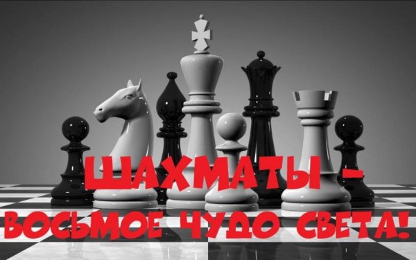 Мир шахмат