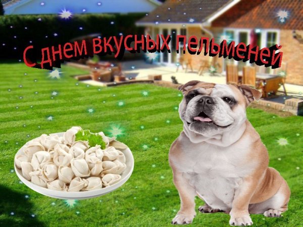 День пельменей