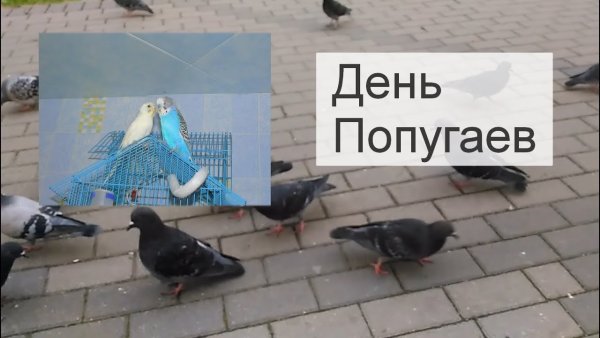 Село Омельяна