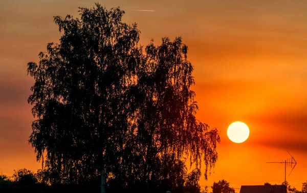 21 Января народный календарь