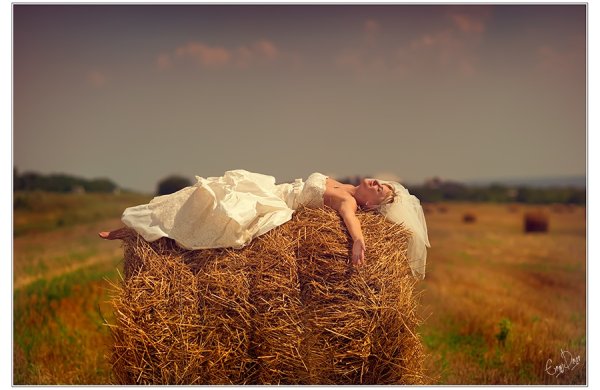 Емельянов день 31 июля