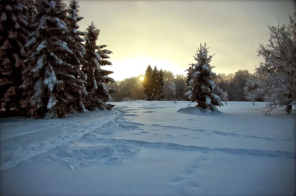 Святитель Емилиан исповедник епископ Кизический